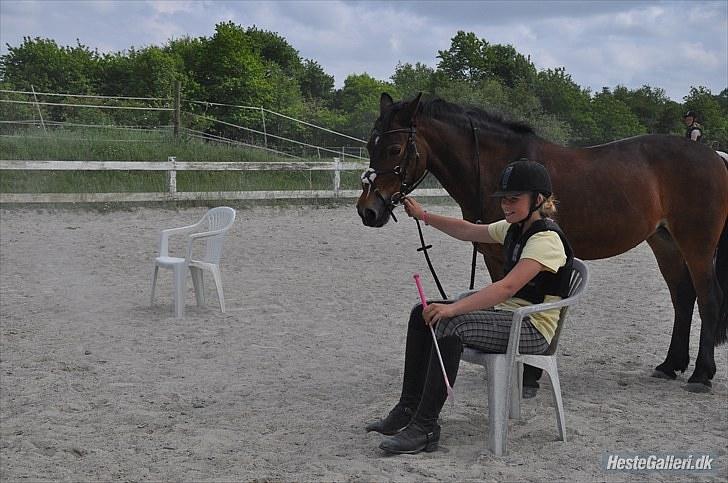 Anden særlig race May Day<3*Gml.part&solgt* - Fordi du kan forstå mig!<3 *Foto:Sarah* billede 13