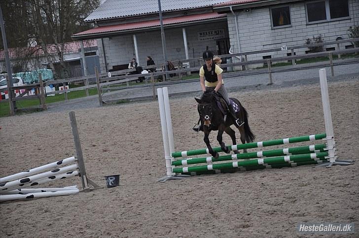 Anden særlig race May Day<3*Gml.part&solgt* - Fordi du er så dygtig!<3 billede 15