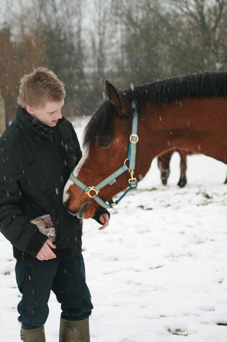 New Forest Oliver - Giv mig nu det brød!  vinter 09 billede 2