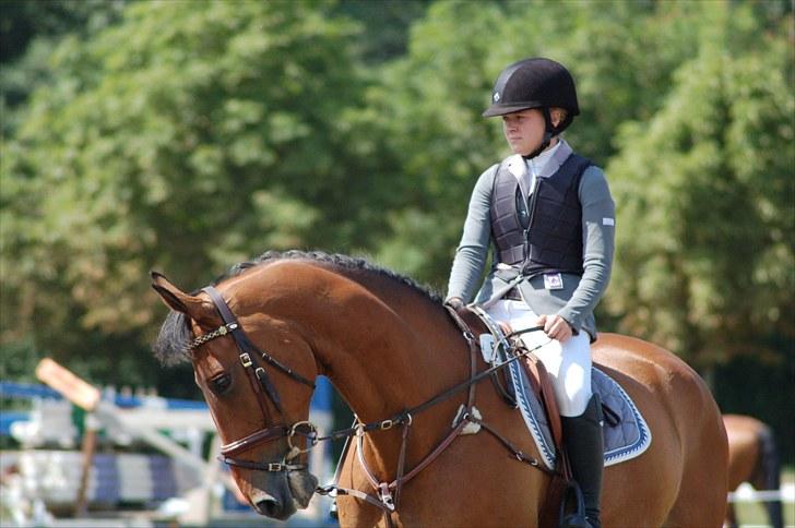 Irsk Hunter Kilcannon Clover (Kylle) - Copenhagen horseshow 2010 billede 9