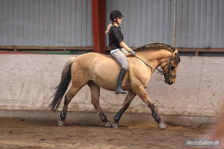 Anden særlig race | Alfons Åberg<3 *Part* - 8) Genoptræning, August 2009. Foto: Rikke D. Sørensen billede 8