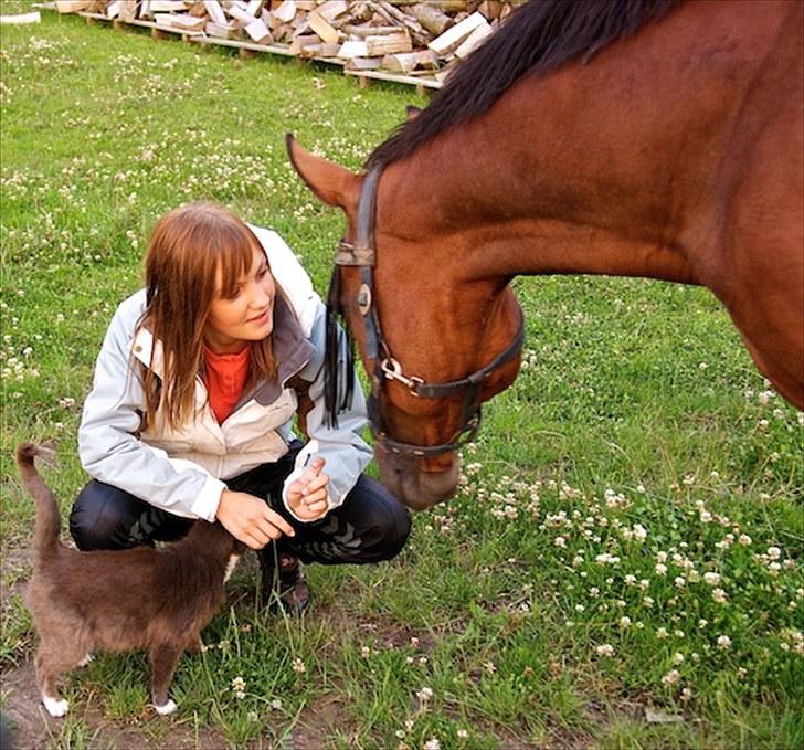 Fuldblod (XX) Fourier (DEN) - tilbageleveret - Fusse :i <3 billede 15