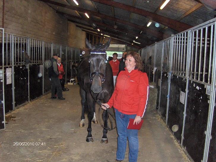 Dansk Varmblod DENISE - DENISE KÅRING 26/6 2010 billede 7