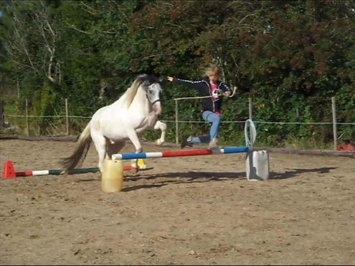 Anden særlig race White Smokey Cowboy - min pony <33 billede 13