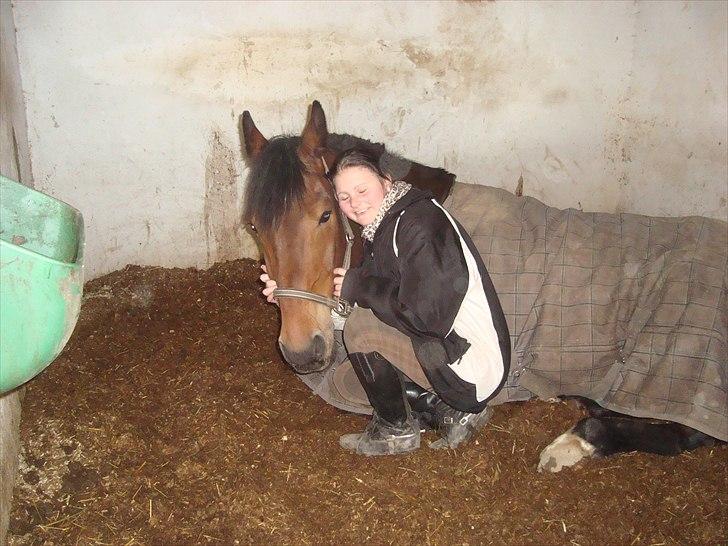 Anden særlig race Sheik  billede 5