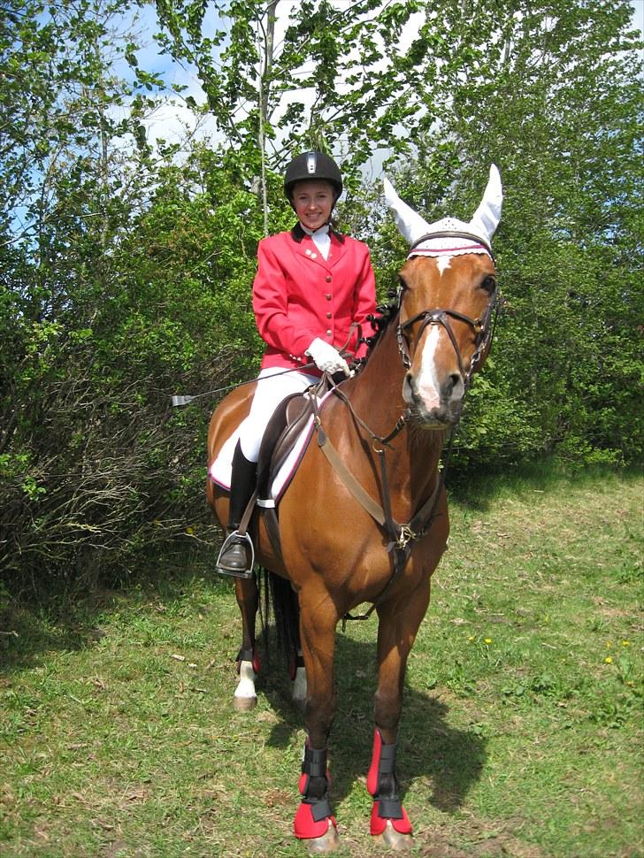 Hollandsk Varmblod Pearly - Solgt<3 - Vores første stævne. billede 3