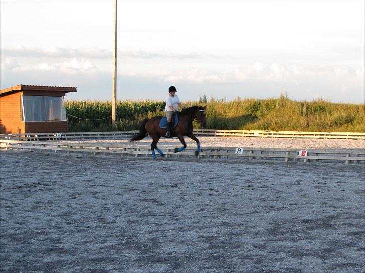 Anden særlig race Rea - Galop (: Rigtig godt billede faktisk. billede 9