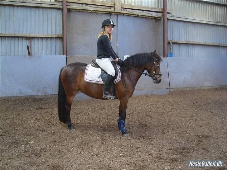 Anden særlig race R.I.P Flika :'(<3 billede 19