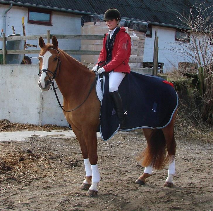 Anden særlig race Flying Shadow  SOLGT - <3 billede 2