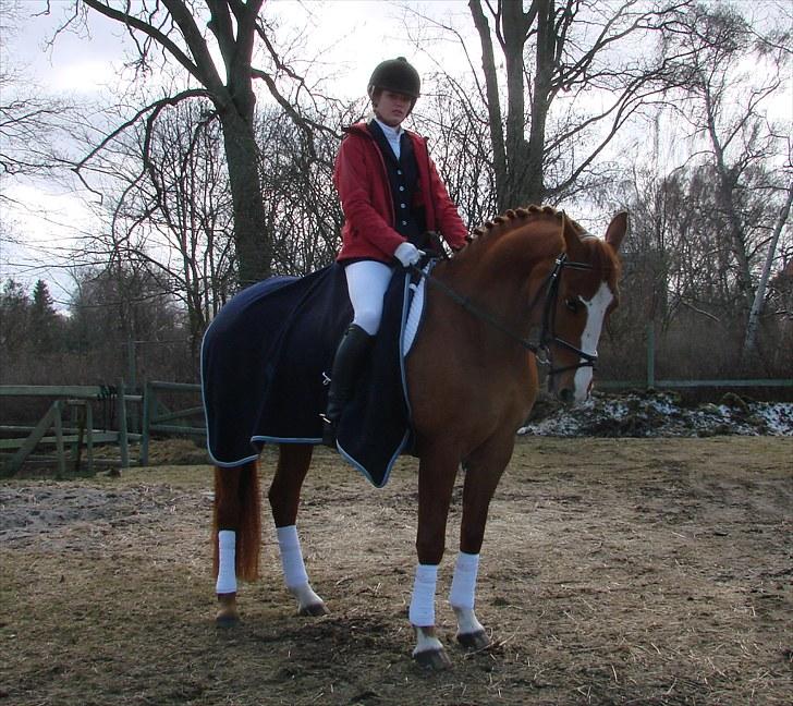 Anden særlig race Flying Shadow  SOLGT billede 3