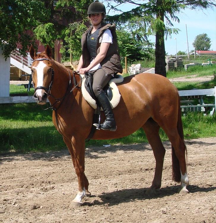 Anden særlig race Flying Shadow  SOLGT - Sød hest <3 billede 7