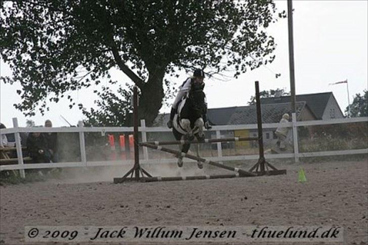 Welsh Pony (sec B) Carola *Min Bedste Ven* - TILLADELSE!!(: billede 5