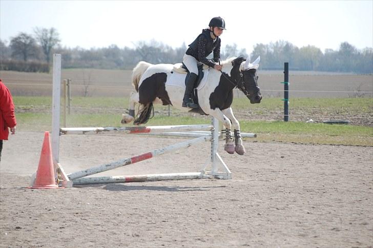 Welsh Pony (sec B) Carola *Min Bedste Ven* - Hop :) billede 8