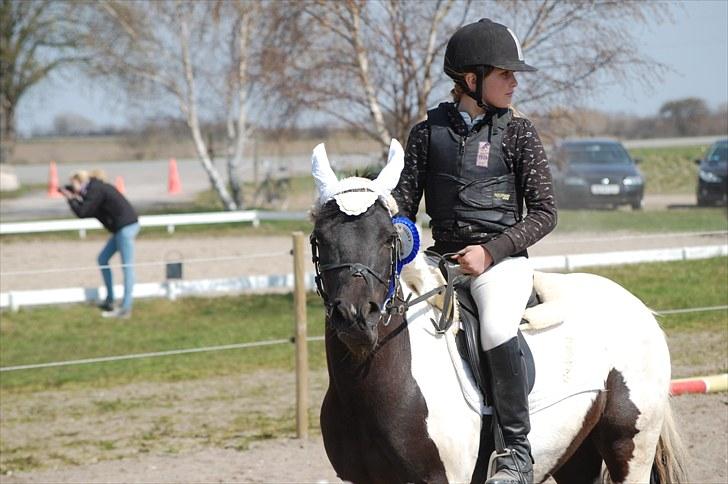 Welsh Pony (sec B) Carola *Min Bedste Ven* - Smukke pige :) billede 9