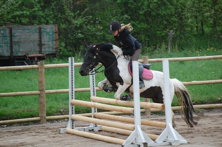 Welsh Pony (sec B) Carola *Min Bedste Ven* - Spring :D billede 12