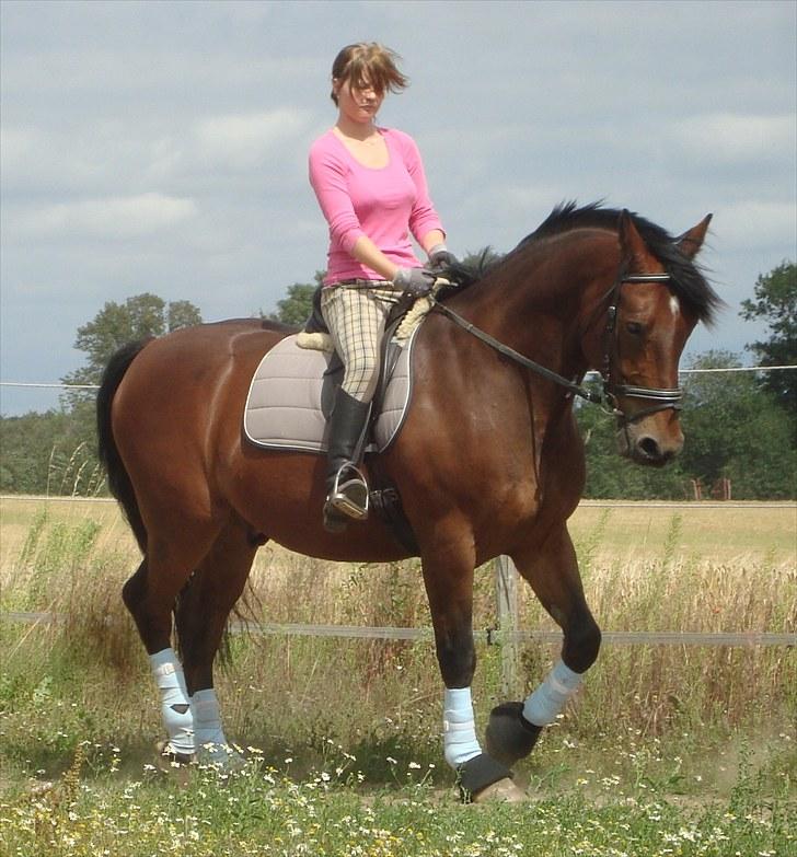 Anden særlig race Sheik  billede 10