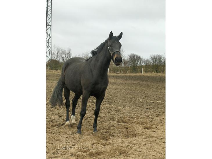 {{currentPhoto.altText}} billede {{currentPhoto.number}}