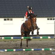 Anden særlig race zarahby <3