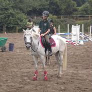 Anden særlig race Zizika