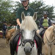 Anden særlig race Zizika