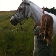Anden særlig race AP.Tarzan