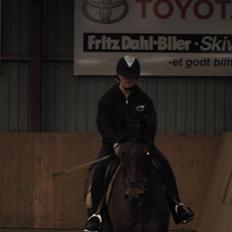 Dansk Varmblod Damgaardens Stundy