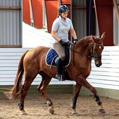 Oldenborg LINETTE HÆRUP