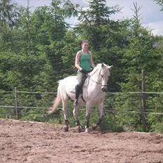 Anden særlig race Pjevs