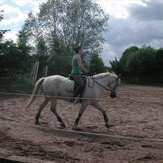 Anden særlig race Pjevs