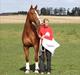 Dansk Varmblod RDH Nathalie Melody