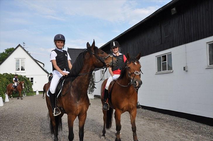Anden særlig race zarahby <3 - team blue and red <3 billede 6