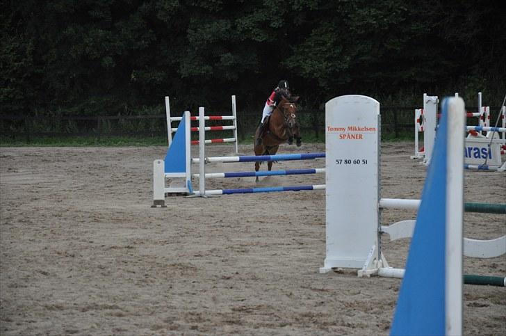 Anden særlig race zarahby <3 - hop billede 8