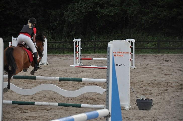 Anden særlig race zarahby <3 - super billed :P billede 9