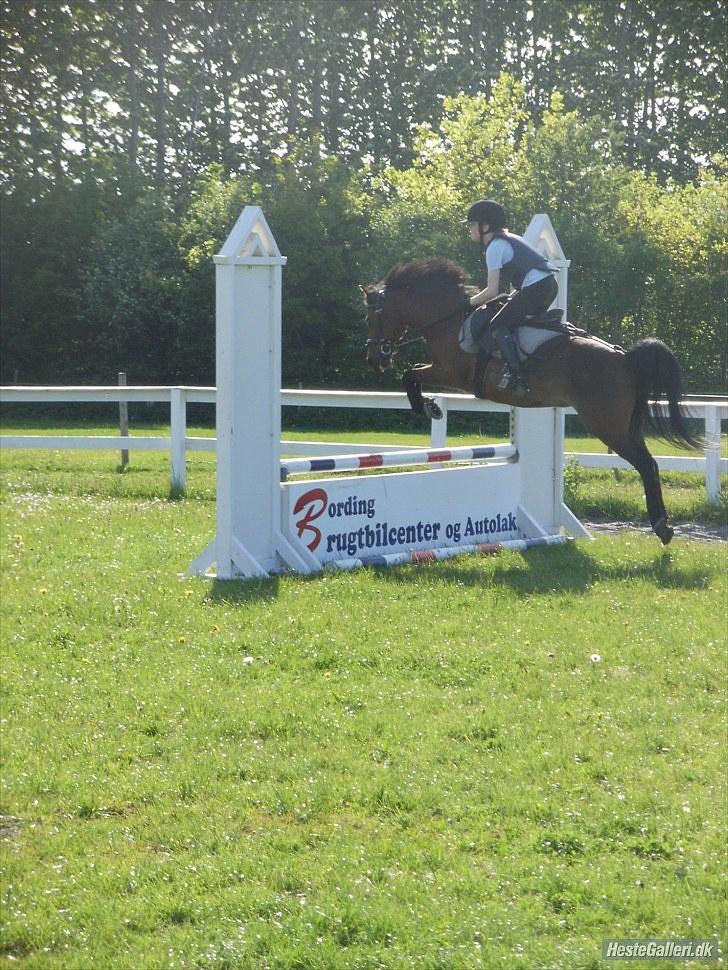 Anden særlig race Buster - buster og Simone springer ca. 70 til træning i BORK<3 billede 10