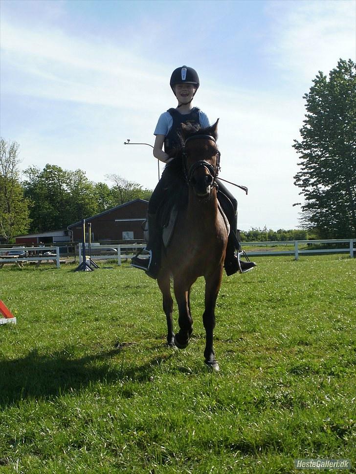 Anden særlig race Buster - klar til springtime billede 12