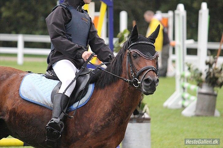 Anden særlig race Buster - så tar vi lige en skarp vending billede 13