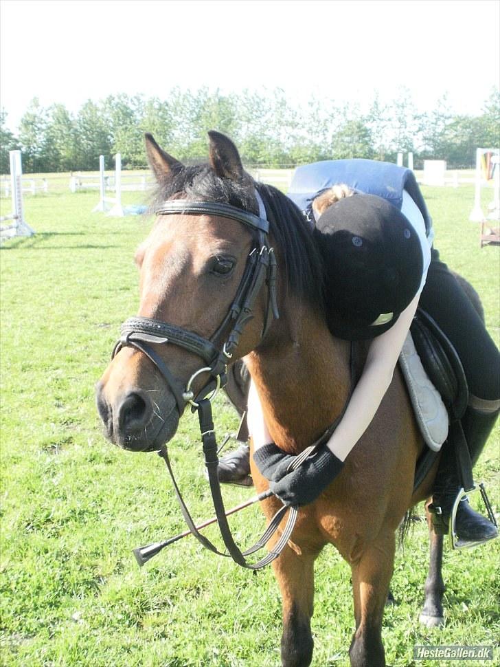 Anden særlig race Buster - I love you busse<3 billede 14