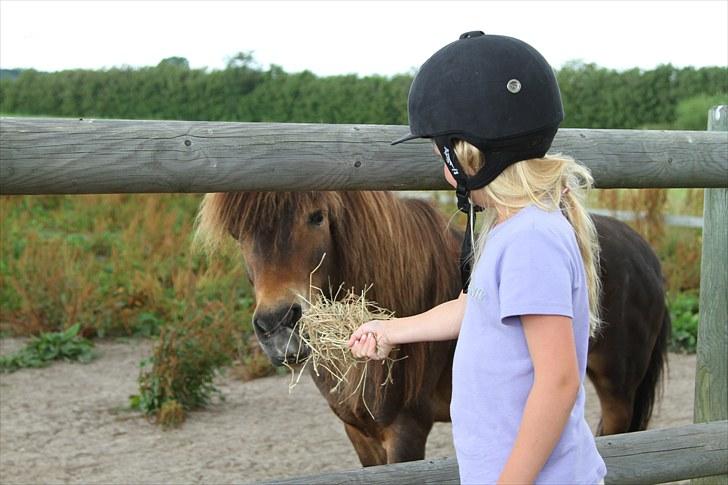 Anden særlig race Alf billede 1