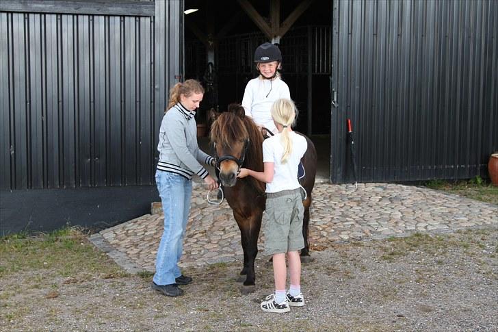 Anden særlig race Alf billede 3