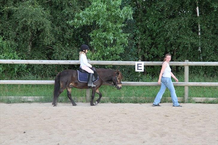 Anden særlig race Alf billede 4