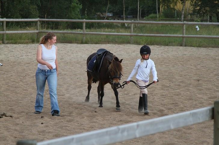 Anden særlig race Alf billede 5