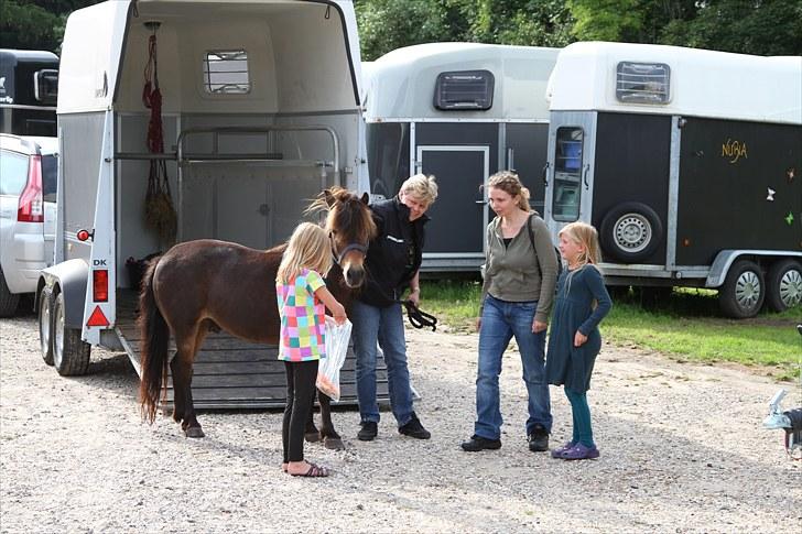 Anden særlig race Alf billede 6