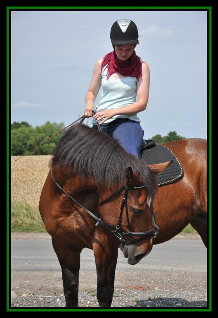 Anden særlig race Bianca *rideskolehest* - Foto: Caroline - Sommeren 2010 billede 8