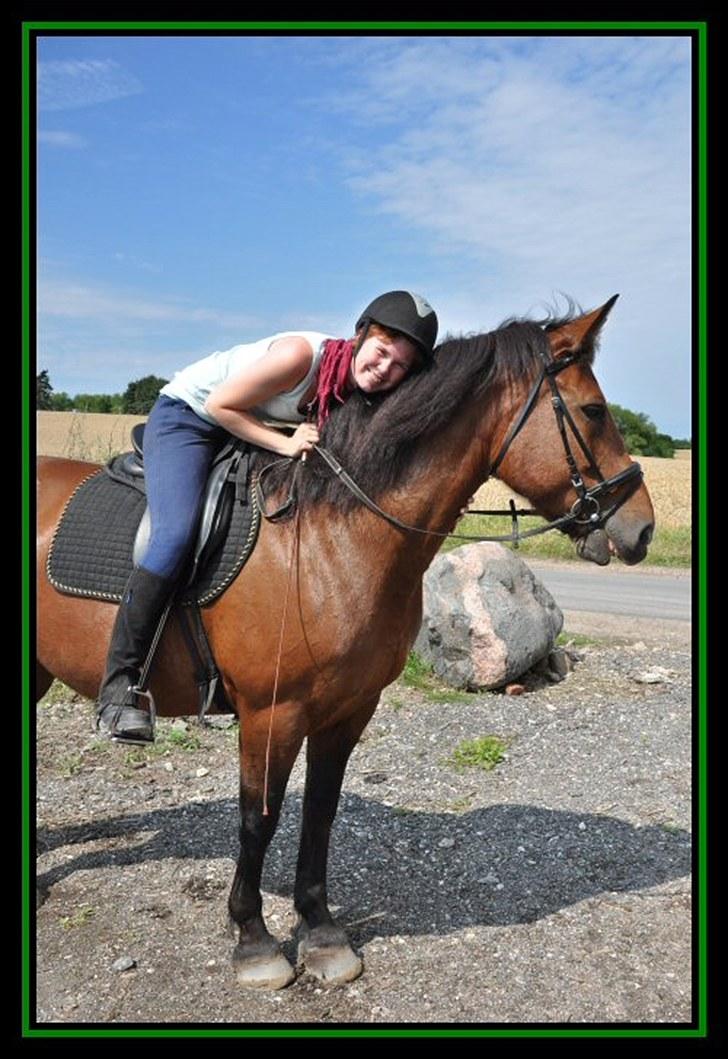 Anden særlig race Bianca *rideskolehest* - Foto: Caroline - Sommeren 2010 billede 9