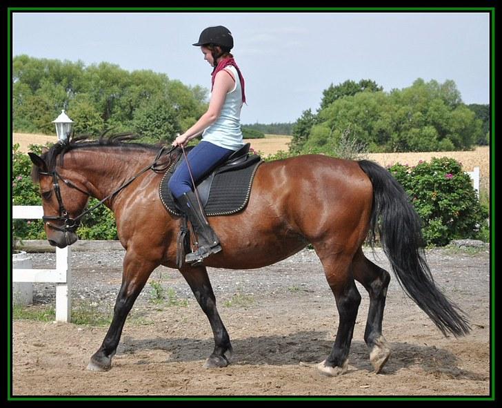 Anden særlig race Bianca *rideskolehest* - Foto: Caroline - Sommeren 2010 billede 10