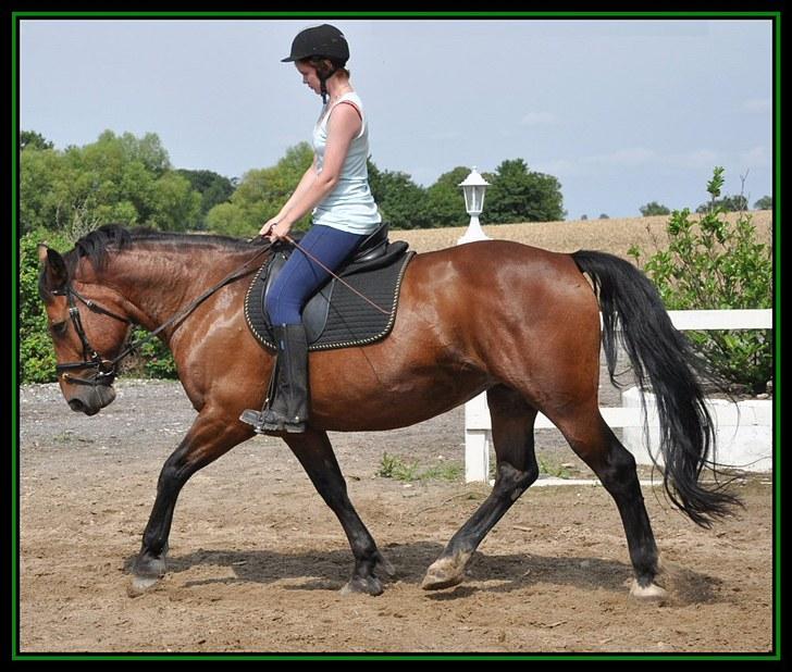 Anden særlig race Bianca *rideskolehest* - Foto: Caroline - Sommeren 2010 billede 11
