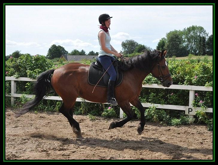 Anden særlig race Bianca *rideskolehest* - Foto: Caroline - Sommeren 2010 billede 14