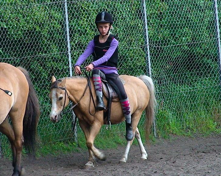 Anden særlig race Valdemar - Damesadel, jeg ser mærkelig ud :D  billede 11