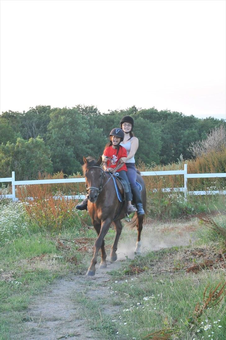 New Forest Elmholts L'amour - hehe :D billede 19