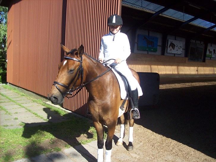 Anden særlig race simba  solgt - billede tage den 7/8-2010 billede 8